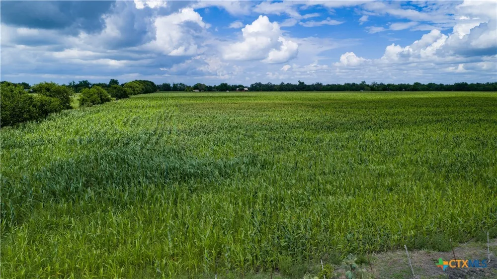 Allison Road Staples, TX 78155