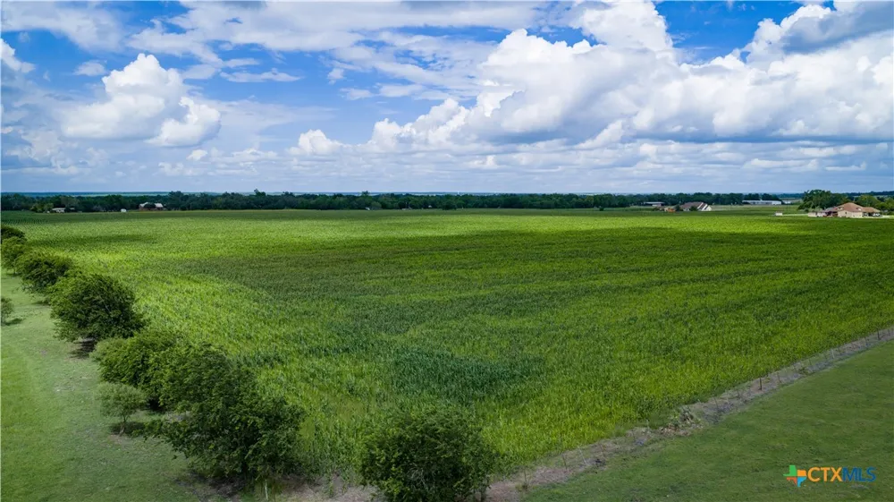 Allison Road Staples, TX 78155