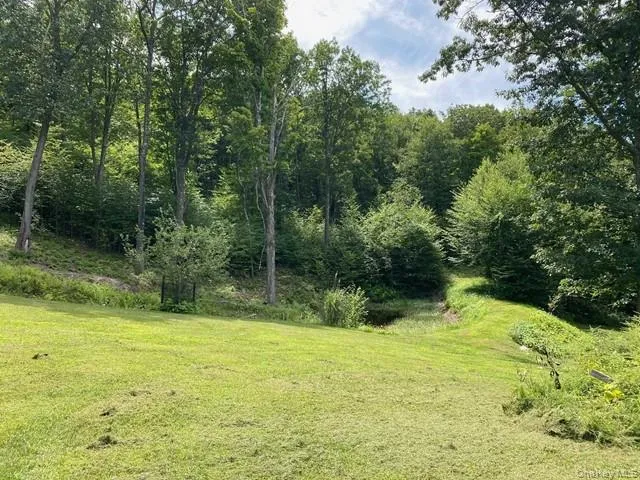 Mile High Road Elizaville, NY 12523