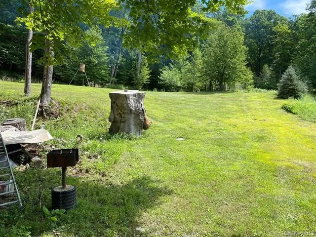 Mile High Road Elizaville, NY 12523