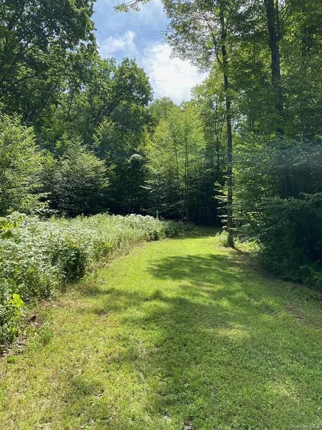 Mile High Road Elizaville, NY 12523