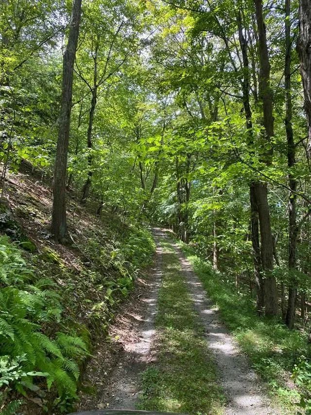 Mile High Road Elizaville, NY 12523