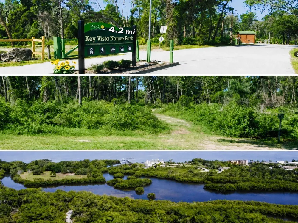 4645 IRENE LOOP New Port Richey, FL 34652