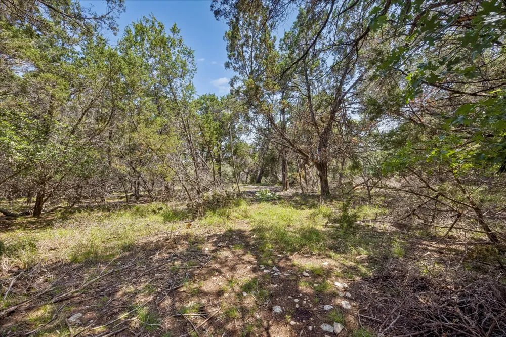 175 Spanish Oak Lane Liberty Hill, TX 78642