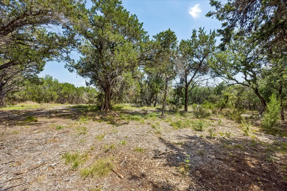175 Spanish Oak Lane Liberty Hill, TX 78642