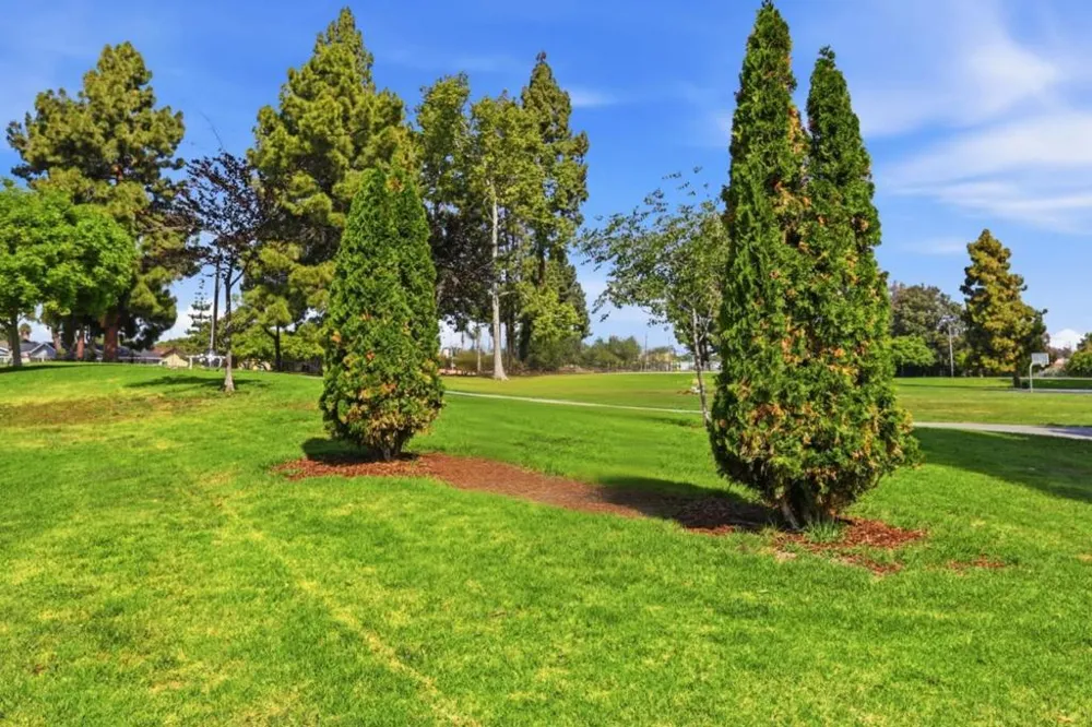 2600 Cortez Drive #6102 Santa Clara, CA 95051