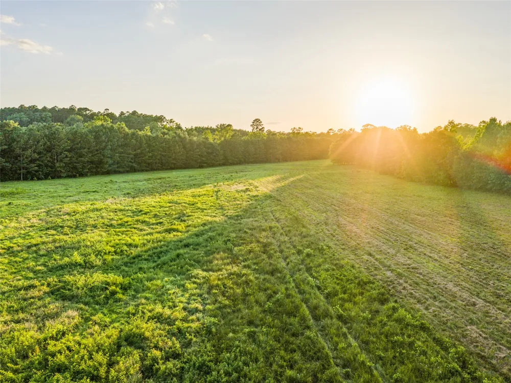 9822 Nasturtium Road Ore City, TX 75683