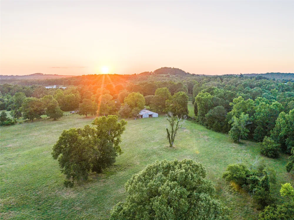 9822 Nasturtium Road Ore City, TX 75683