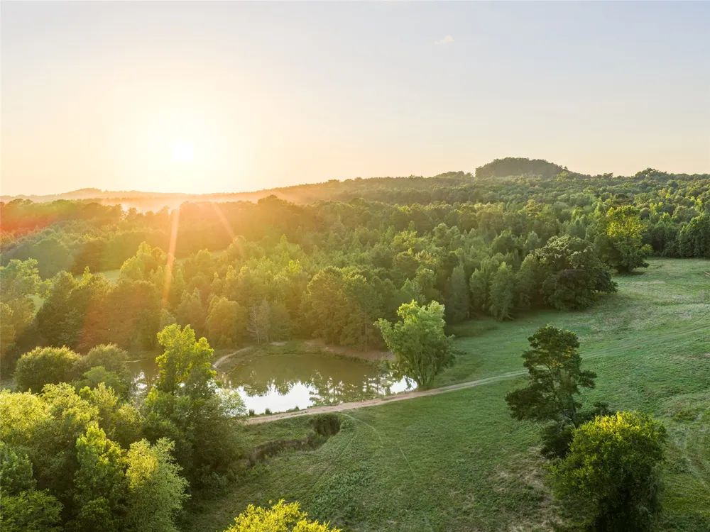 9822 Nasturtium Road Ore City, TX 75683