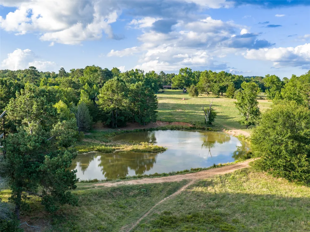 9822 Nasturtium Road Ore City, TX 75683