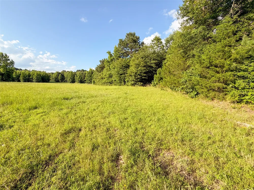 9822 Nasturtium Road Ore City, TX 75683