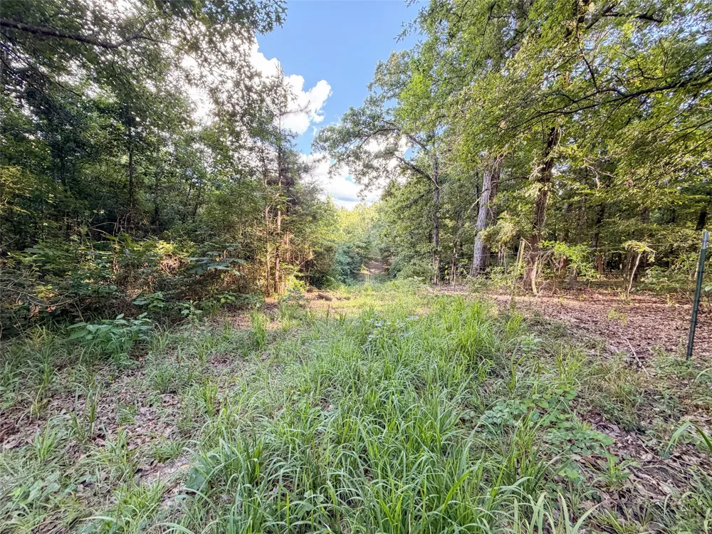 9822 Nasturtium Road Ore City, TX 75683