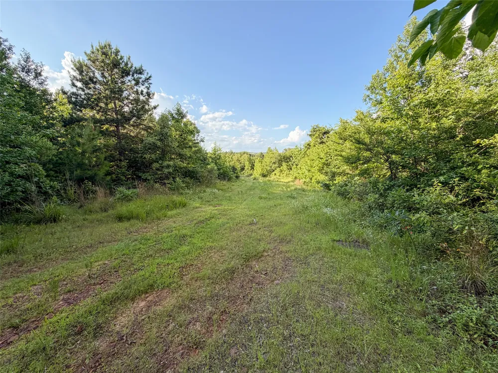 9822 Nasturtium Road Ore City, TX 75683