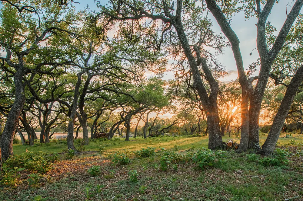 901 E Flying Owl Drive Johnson City, TX 78636