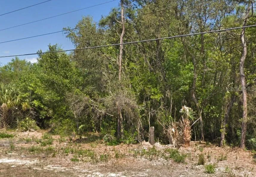 4030 S KINGS AVENUE Homosassa, FL 34446