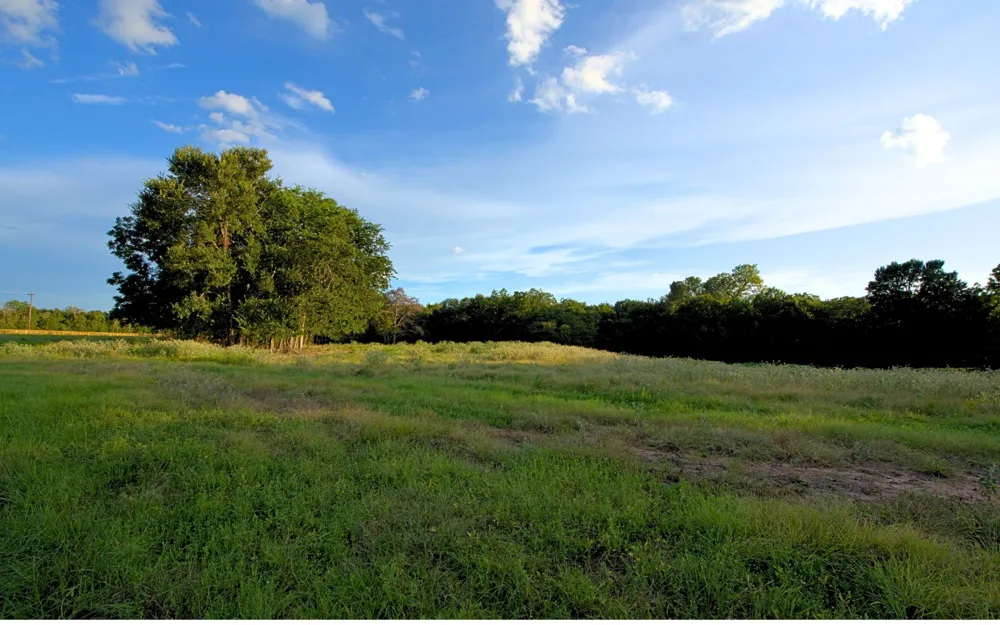 Hudson Farms Road - Tract 2B (+/-6.376 acres) Franklin, TX 77859