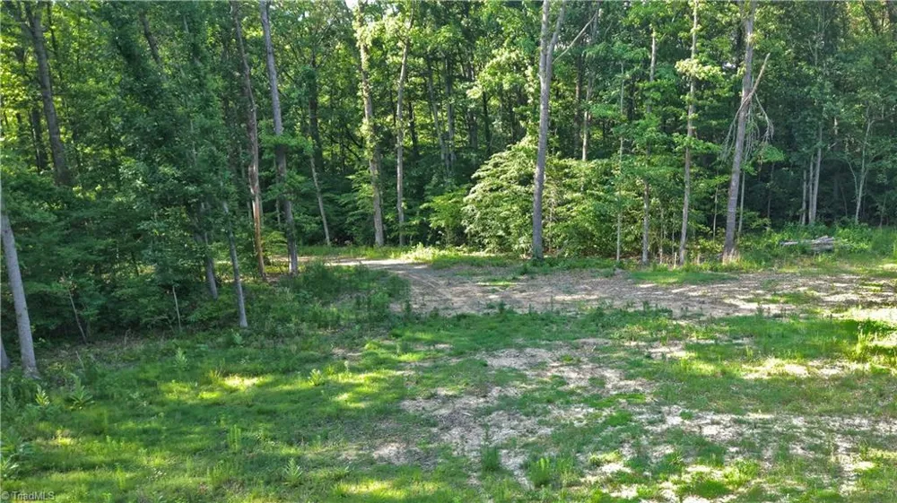 6810 Sawyer Road Liberty, NC 27298