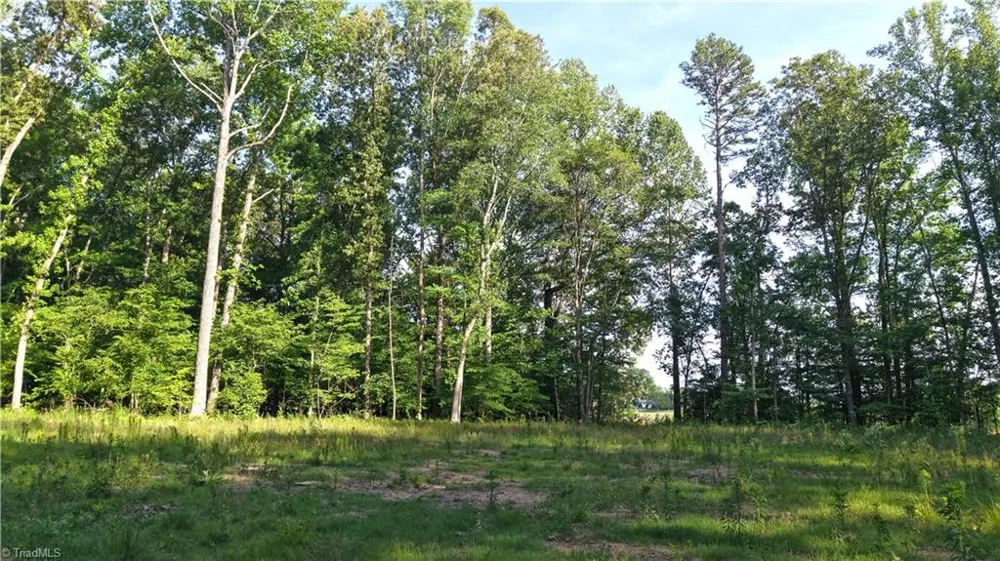 6810 Sawyer Road Liberty, NC 27298