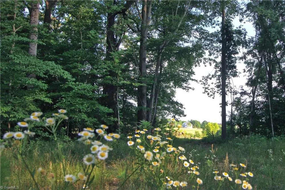 6810 Sawyer Road Liberty, NC 27298
