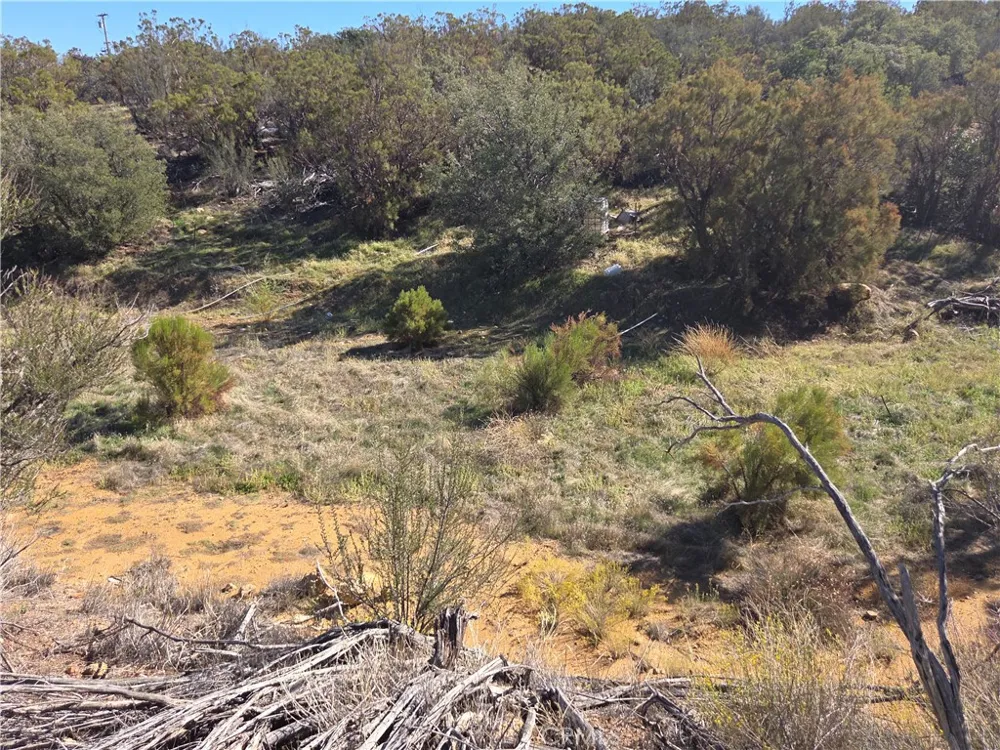 Taron Trail Anza, CA 92539