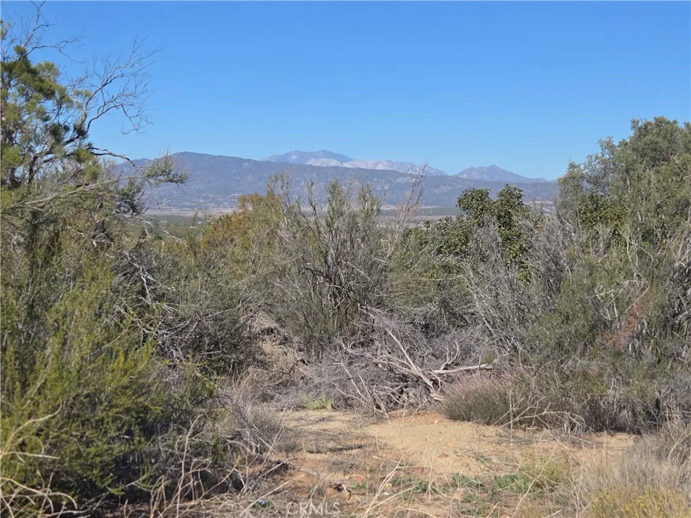 Taron Trail Anza, CA 92539
