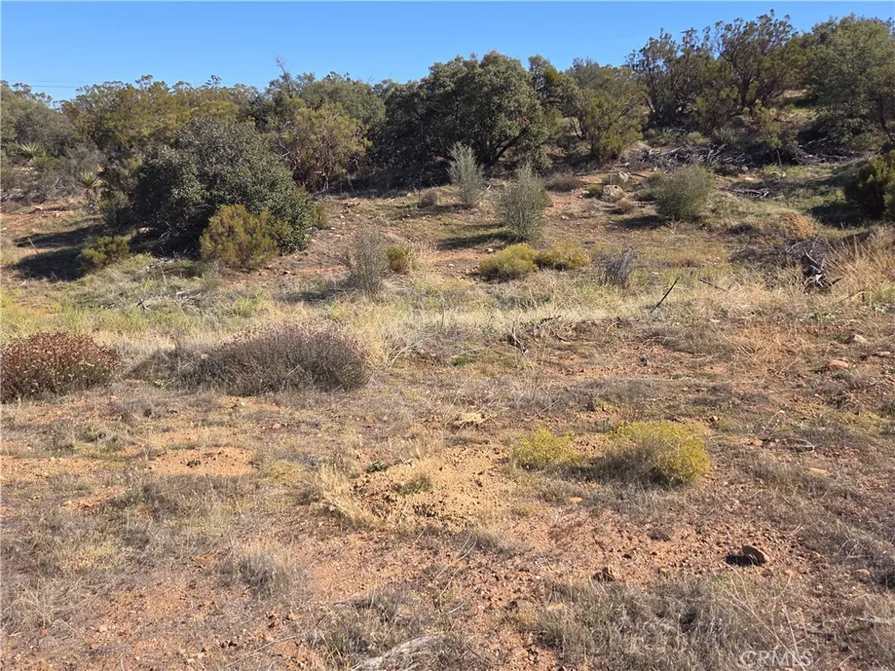 Taron Trail Anza, CA 92539