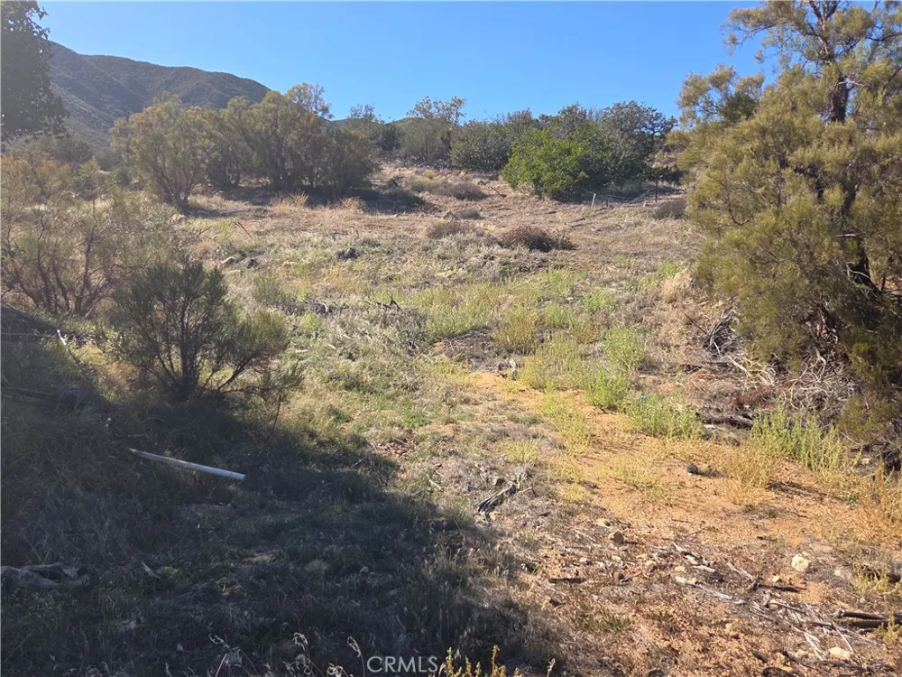 Taron Trail Anza, CA 92539