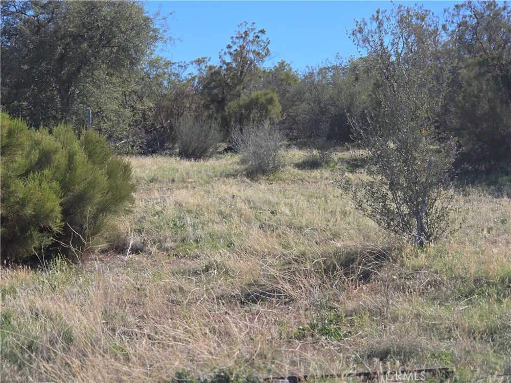 Taron Trail Anza, CA 92539