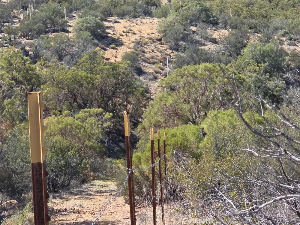 Taron Trail Anza, CA 92539