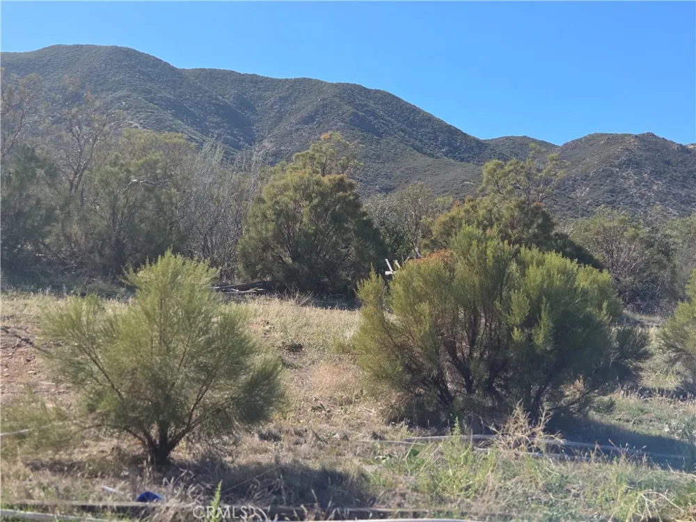 Taron Trail Anza, CA 92539
