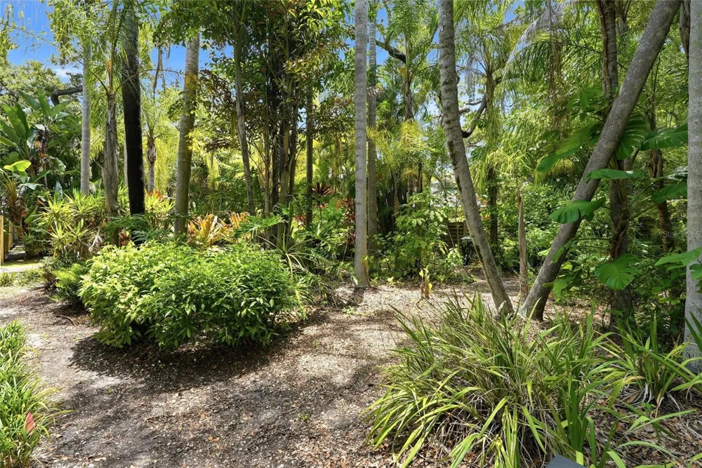 Lot 14 E MARSHALL STREET Safety Harbor, FL 34695
