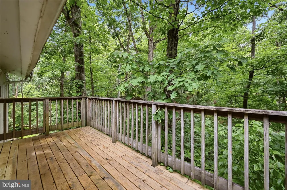 692 LAUREL LANE Bluemont, VA 20135