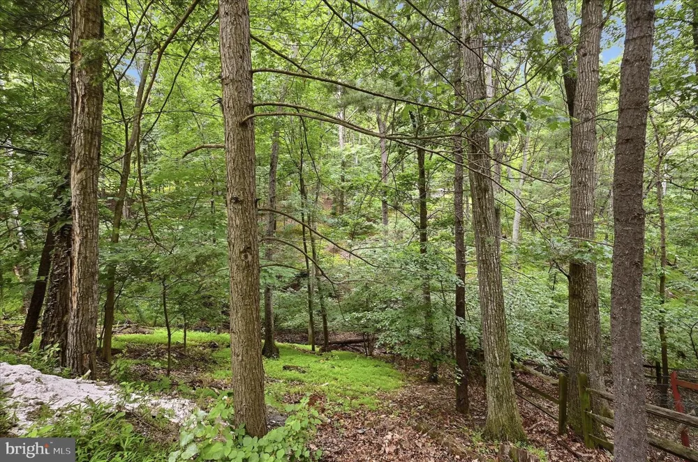 692 LAUREL LANE Bluemont, VA 20135
