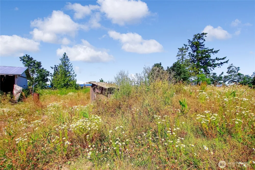 30320 Pioneer Highway Stanwood, WA 98292