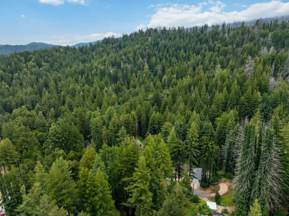 1131 Rambling Road Boulder Creek, CA 95006
