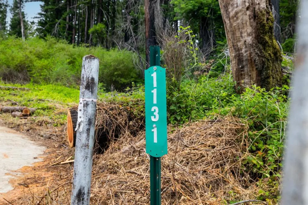 1131 Rambling Road Boulder Creek, CA 95006