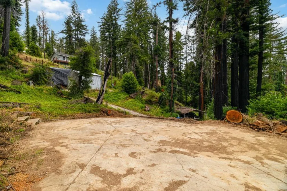 1131 Rambling Road Boulder Creek, CA 95006