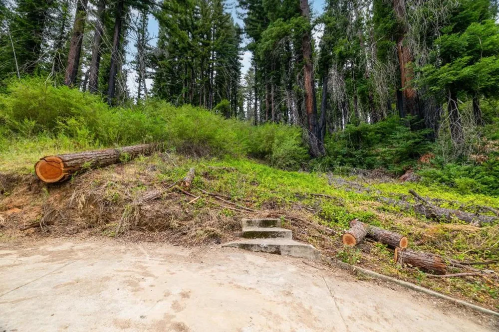 1131 Rambling Road Boulder Creek, CA 95006