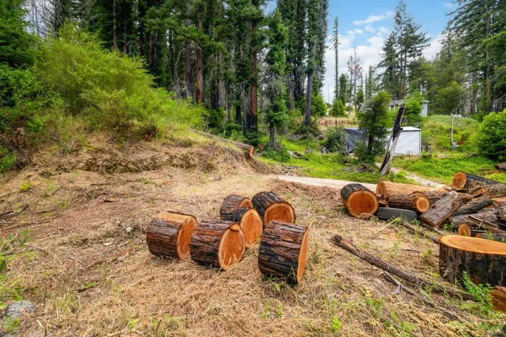1131 Rambling Road Boulder Creek, CA 95006