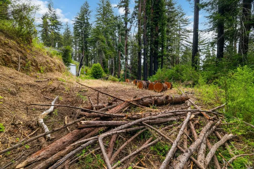 1131 Rambling Road Boulder Creek, CA 95006