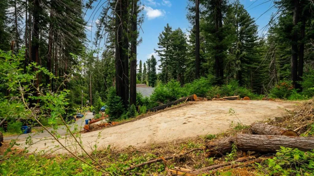 1131 Rambling Road Boulder Creek, CA 95006