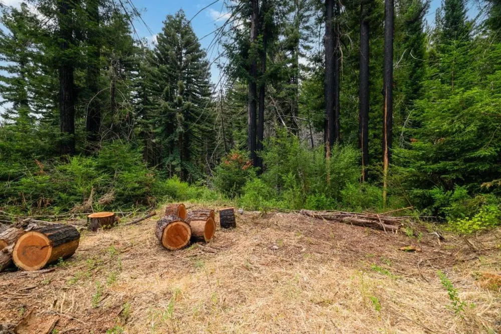 1131 Rambling Road Boulder Creek, CA 95006
