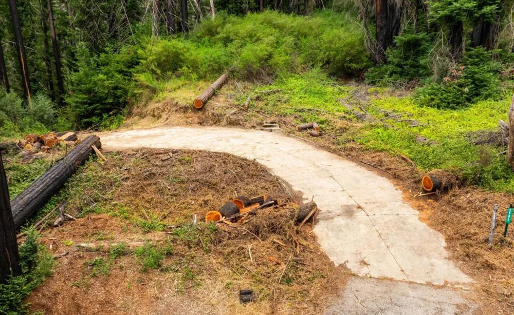 1131 Rambling Road Boulder Creek, CA 95006