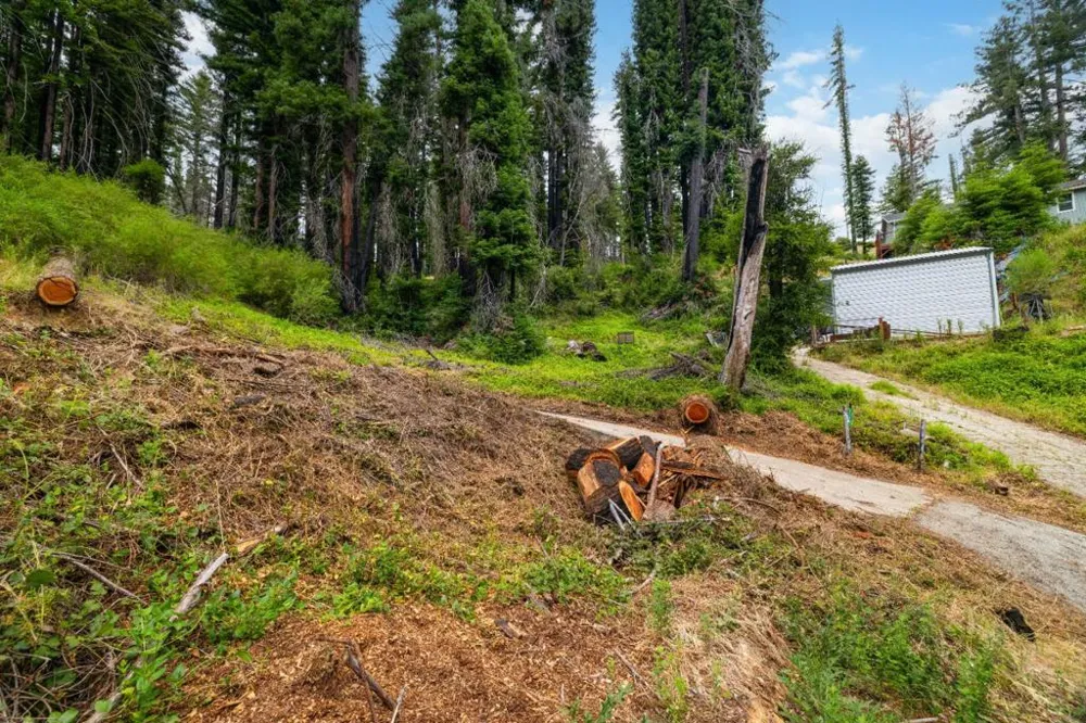 1131 Rambling Road Boulder Creek, CA 95006