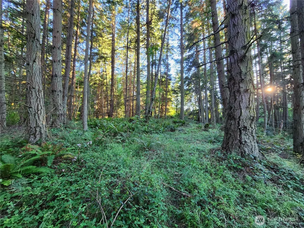 1664 Lancaster Rd Freeland, WA 98249