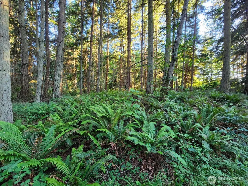 1664 Lancaster Rd Freeland, WA 98249