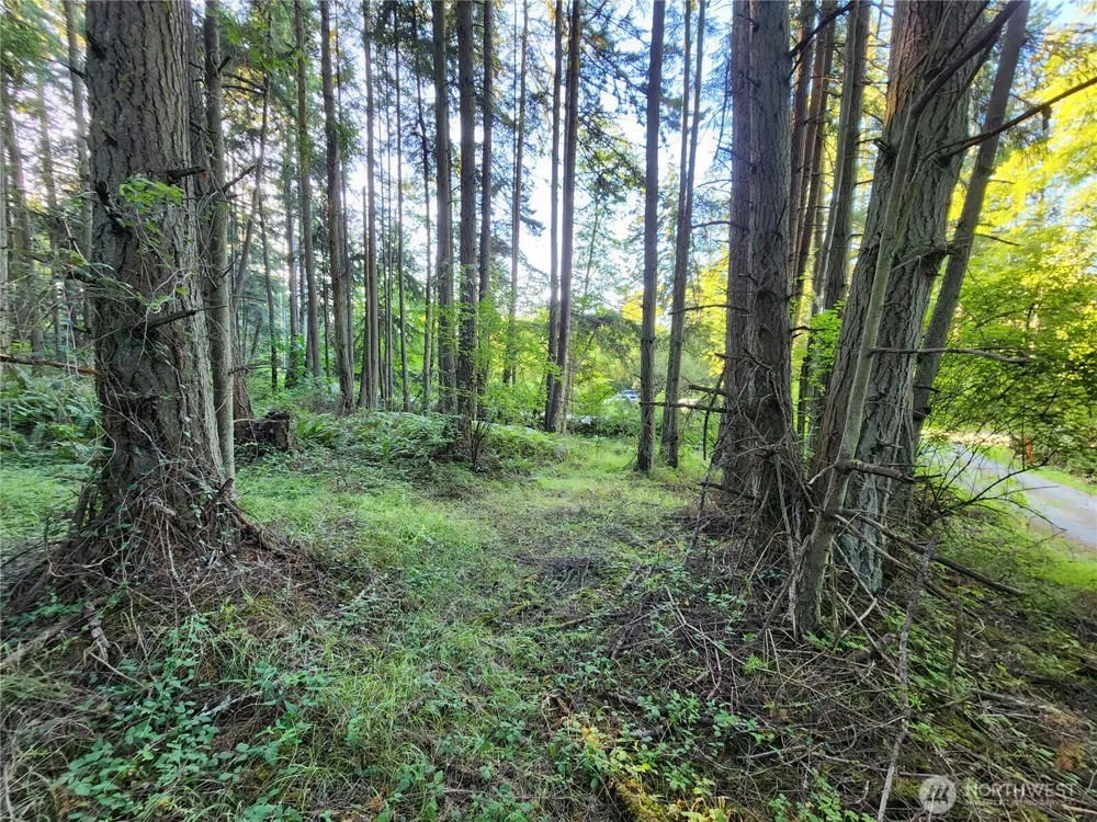 1664 Lancaster Rd Freeland, WA 98249