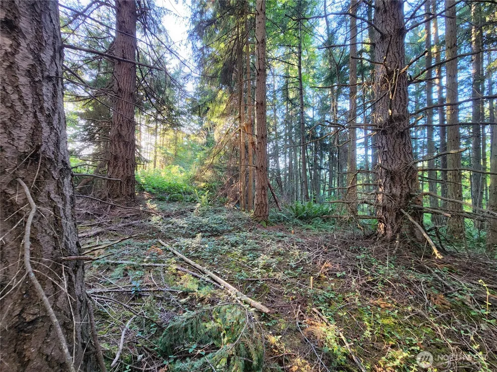 1664 Lancaster Rd Freeland, WA 98249