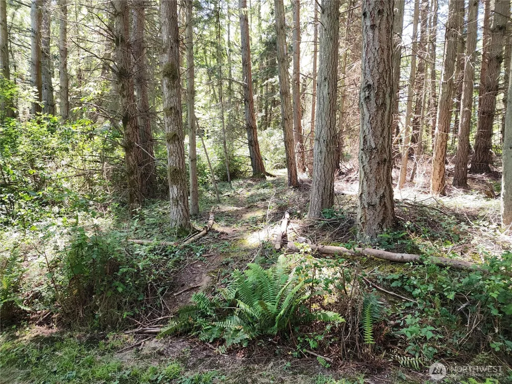 1664 Lancaster Rd Freeland, WA 98249