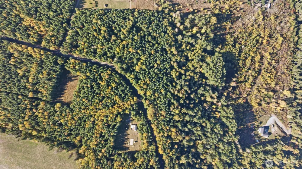 40320 32nd Avenue E Eatonville, WA 98328